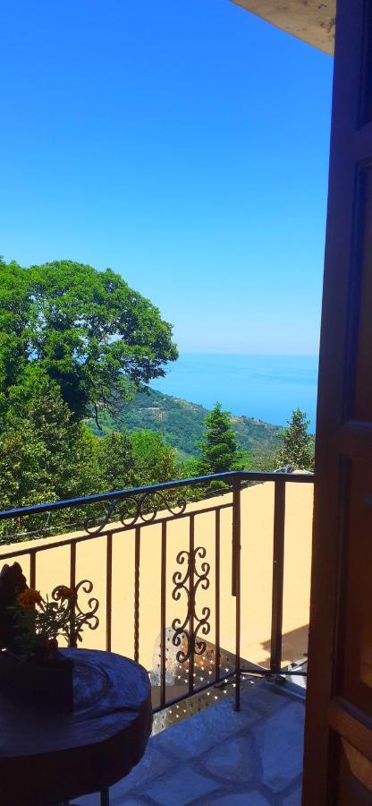 Anilio Pelion Golden Mountain旅馆 外观 照片